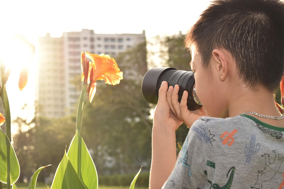 Entdecken Sie Rhode Island: Ein Paradies für Kultur und Natur!