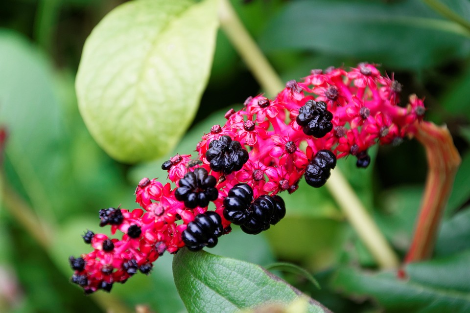 Entdecken Sie den Seewinkel: Genuss und Abenteuer am Neusiedler See!