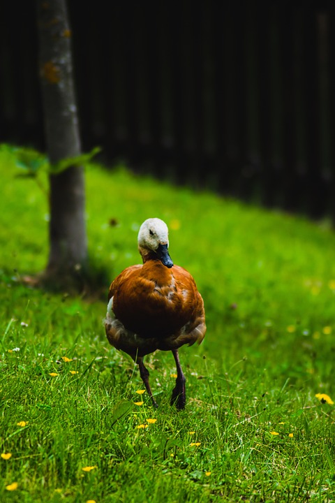 Entdecken Sie die besten geheimen Urlaubsorte der Schweiz!