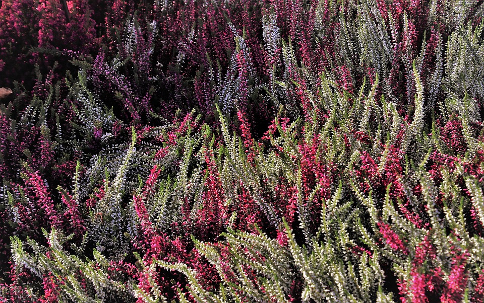 Eric Frenzel genießt Familienurlaub in Athen: Olympische Erinnerungen!