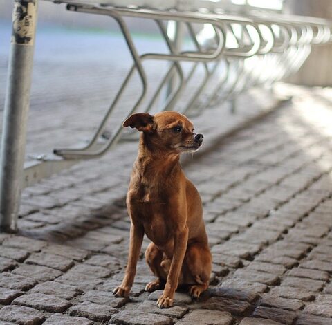 Urlaub