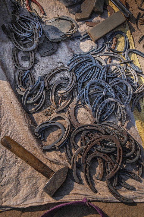 Fam Trip an Floridas Westküste: Realität nach dem Hurrikan-Schock!