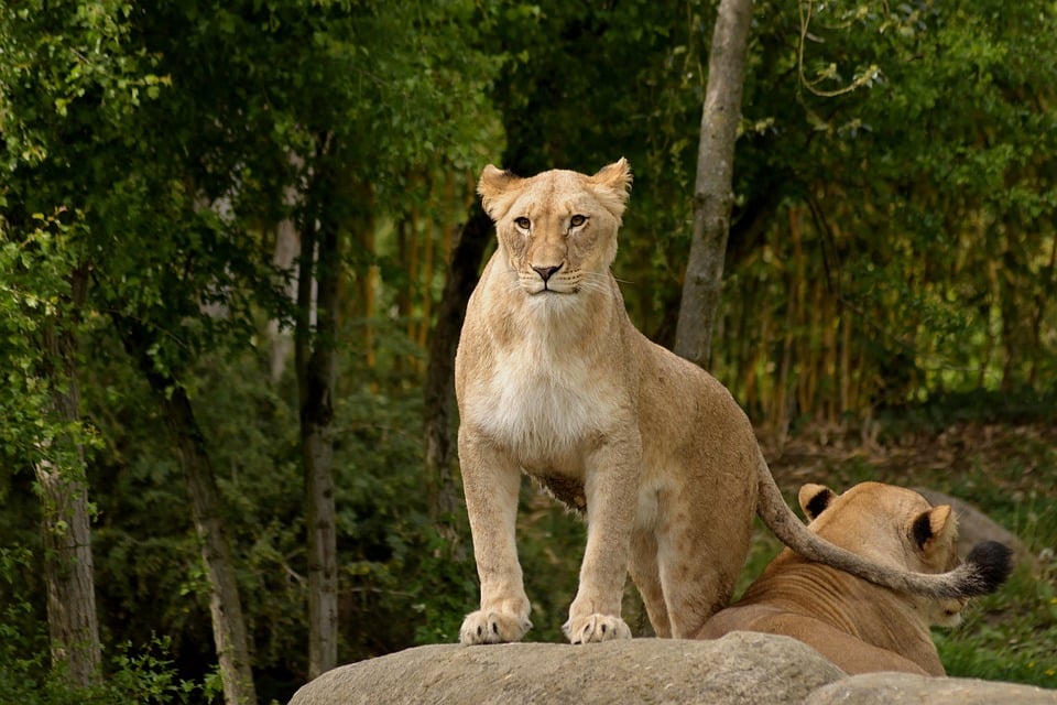 Floristinnen im Schwalm-Eder-Kreis: Sechs-Tage-Woche und wenig Urlaub!
