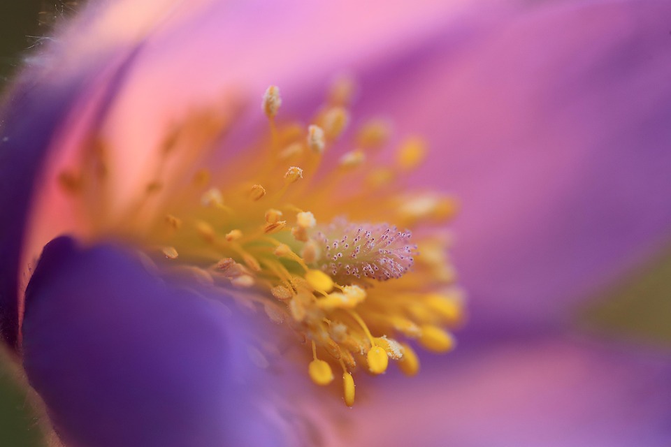 Früh buchen für die besten Plätze: Alpenhütten sind ausgebucht!