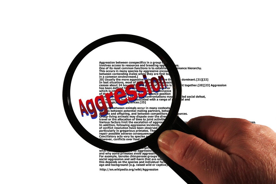 Gabalier in der Bredouille: Luxus-Penthouse am Wörthersee droht Abriss!