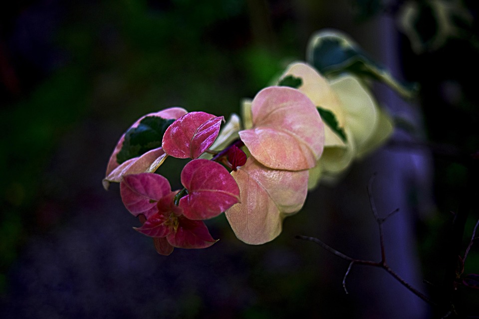 Gefahren für Frauen auf Reisen: Ann-Kathrin Bendixen packt aus!
