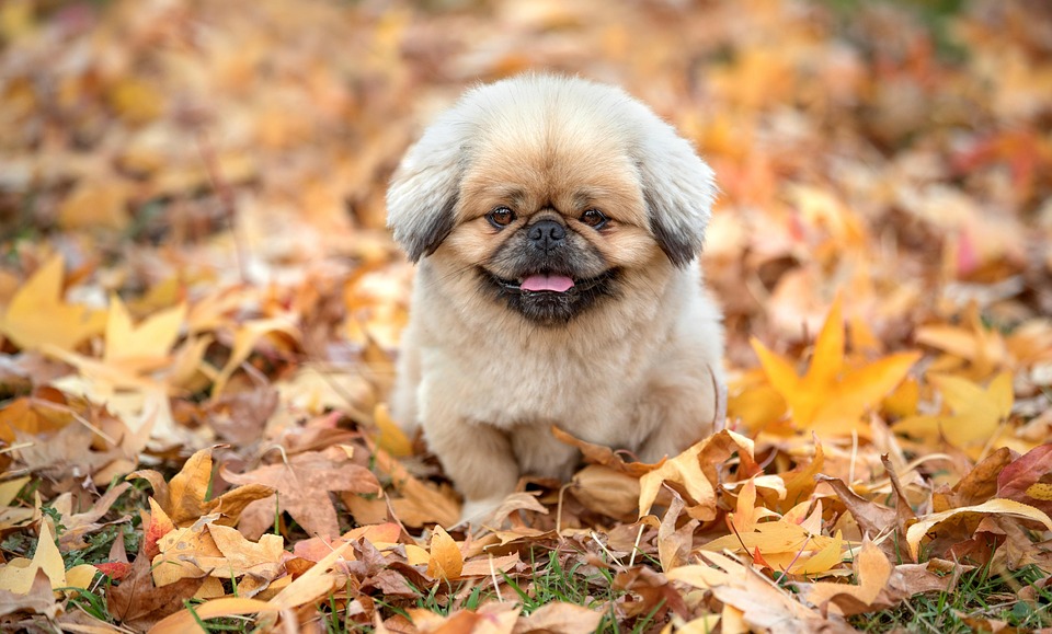 Gen Z liebt Pauschalreisen: 5 Tipps für deinen perfekten Urlaub!