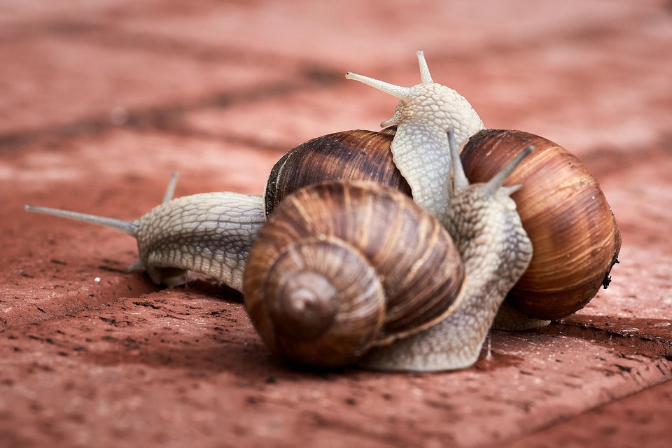 Gerichtsurteil: Wer haftet bei Auffahrunfall auf Autobahn?