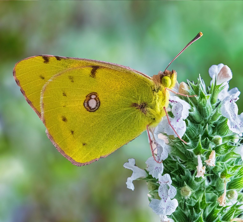 Getrübte Stimmung im Tourismus: Niedersachsen kämpft mit hohen Kosten!