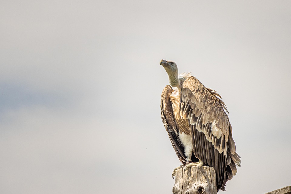 Gigantische Basilika im kleinen Dorf: Ein Wunderwerk des Barock!