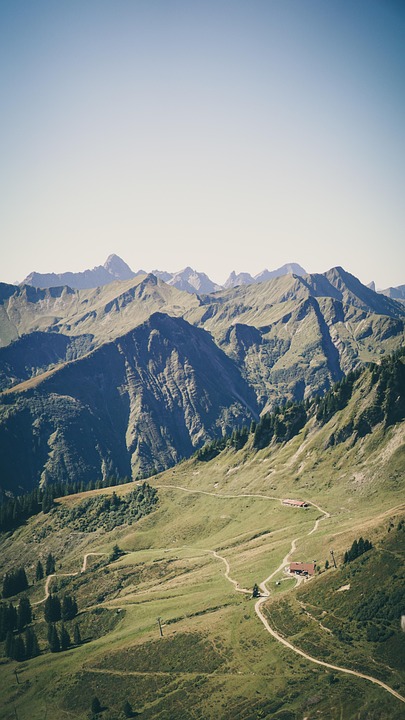 Großer Putz im Zoo: Fische raus, Pinguine faulenzend!