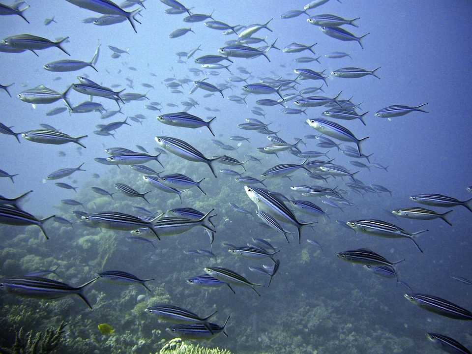 Günstige Flüge und Traumziele: Entdecke die Türkei 2025!