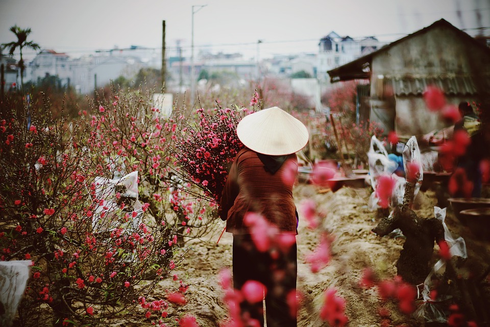 Hanoi 2025: Erleben Sie das große Tourismusfestival der Kultur!