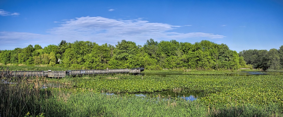 Heinz Hoenig heiratet erneut auf Sylt – Liebe trotz Kritik und Schulden!