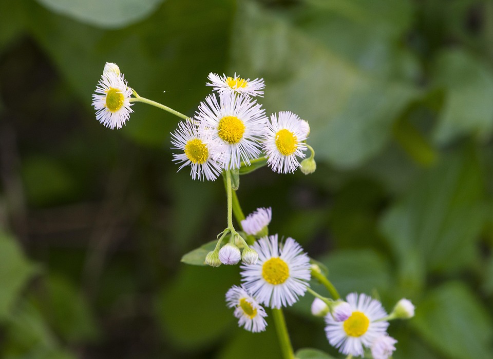 Heinz Hoenig kämpft um sein Leben: So geht es dem Schlagerstar im Krankenhaus!