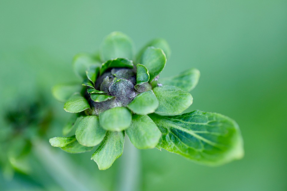 Helene Fischer: Spektakuläre 360°-Tour 2026 – Ein Millionen-Projekt!