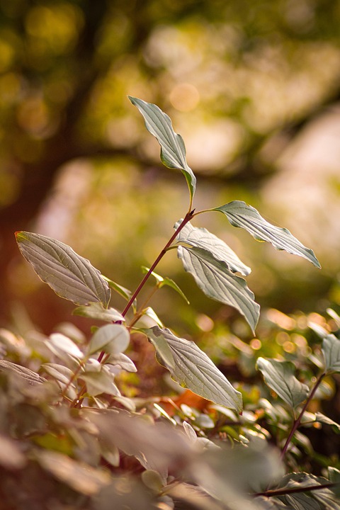 Herbstferien: Last Minute-Reisen für unvergessliche Familienabenteuer!
