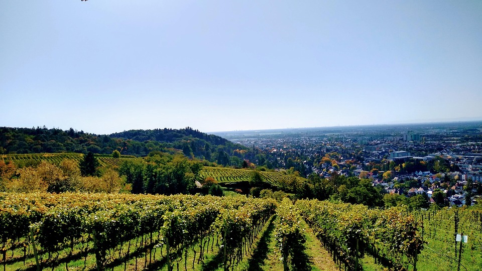 Hessens schönste Beachclubs: Sonne, Cocktails und Urlaubsfeeling pur!