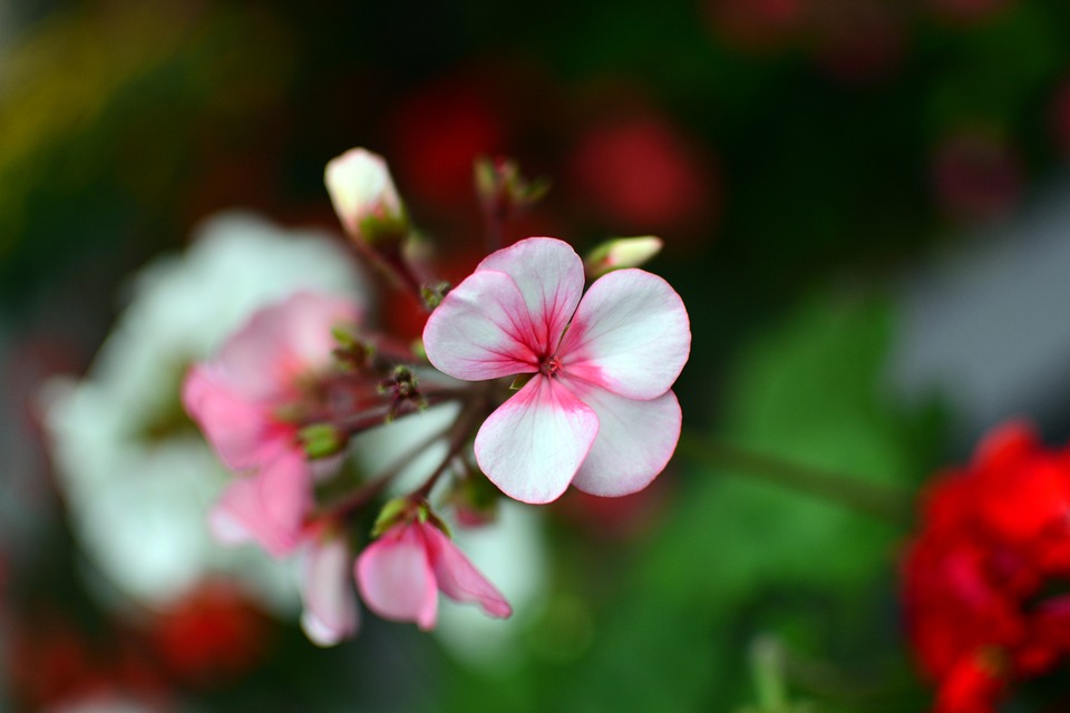 Hoa Binh 2025: Tourismus als Wachstumsmotor der Provinz!