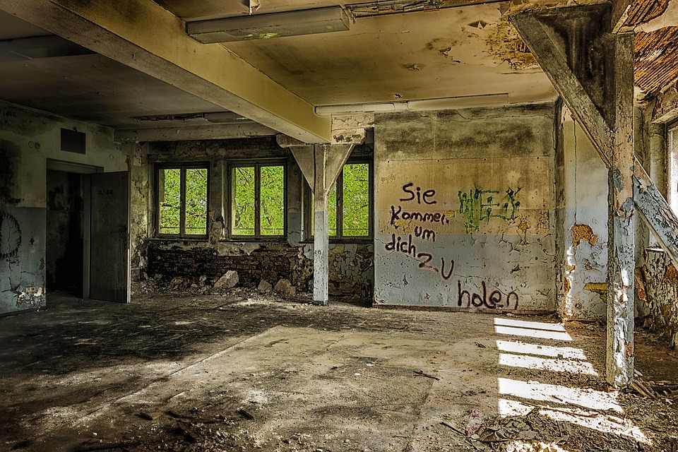 Kenta Maeda: Comeback mit den Cubs – Ein zweiter Frühling im Baseball?