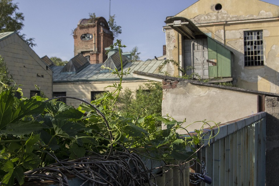 Königswein aus Gumpoldskirchen: Der neue Geheimtipp für Weinliebhaber!