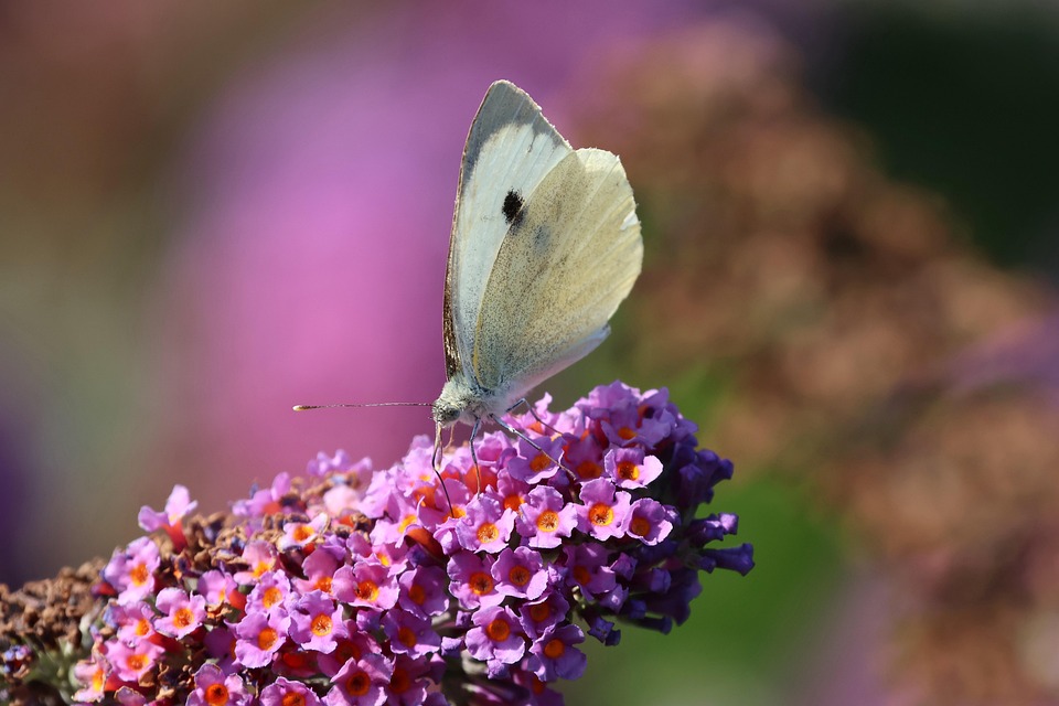 Kostenlose Fahrradwoche: Entdecken Sie das Ostseeferienland!