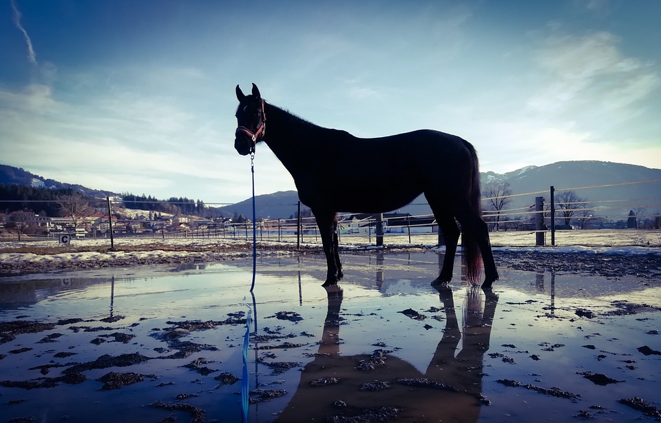 Kostenlose Zugreisen für 35.753 junge Entdecker in Europa!
