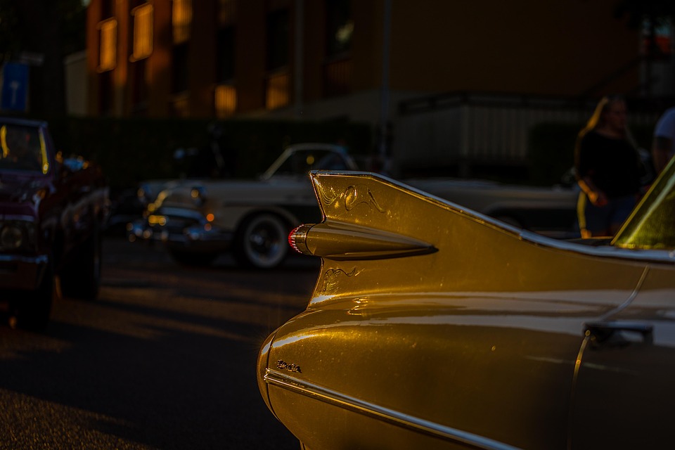 Kreuzfahrt 2026: Abenteuer von Rotterdam in die Karibik erleben!