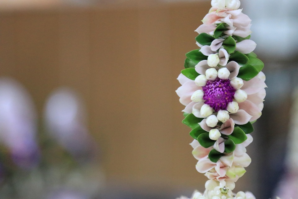 Kreuzfahrt-Boom 2025: 37,7 Millionen Passagiere und Kritik am Klima!