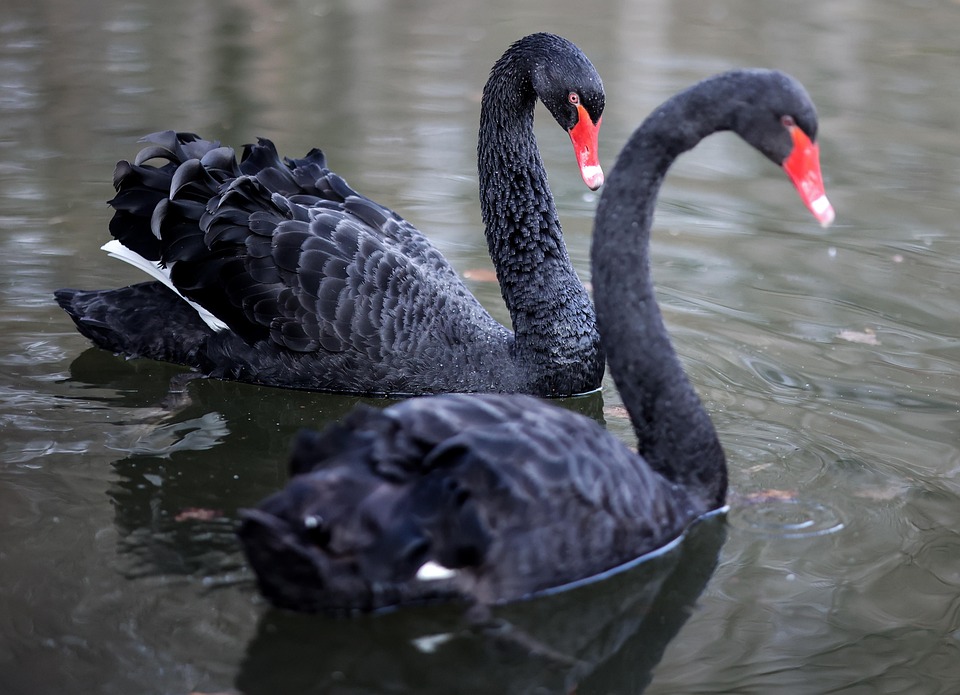 Kreuzfahrt-Katastrophe: Paar verpasst Schiff – TikTok-Drama auf See!