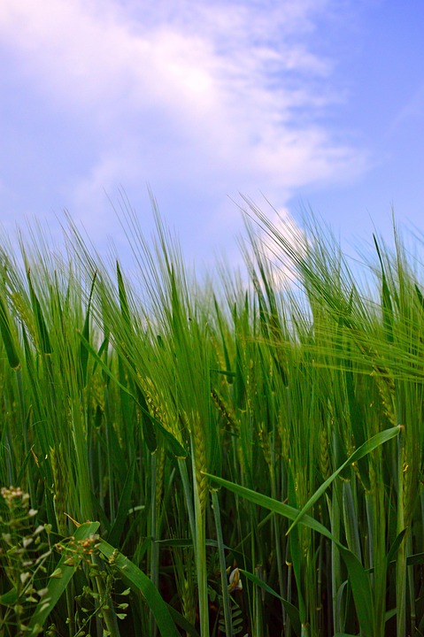 Kultur und Tourismus: Wie Ausstellungen Städte zum Blühen bringen!
