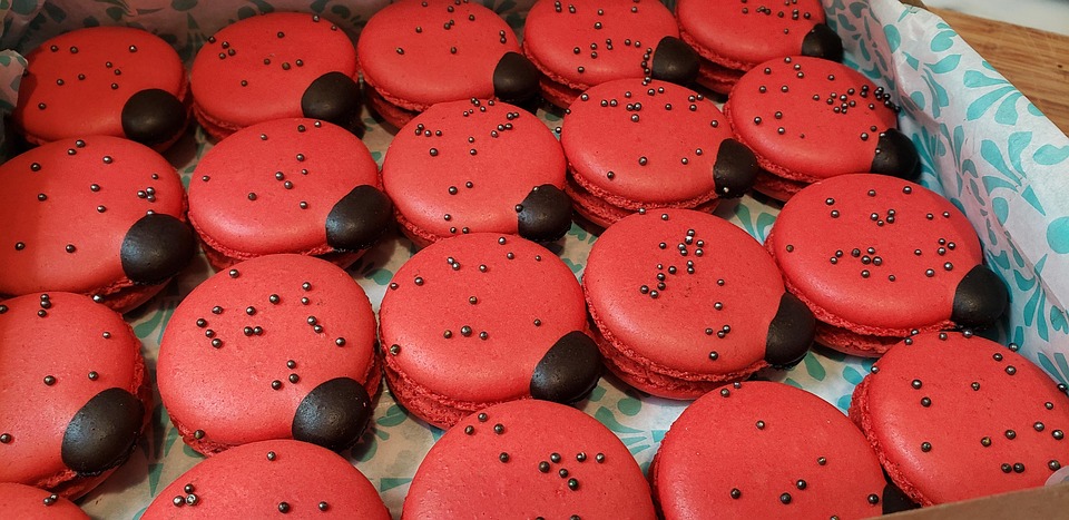 Macron in Vietnam: Spaßmoment oder ernsthafte Rivalität mit Brigitte?