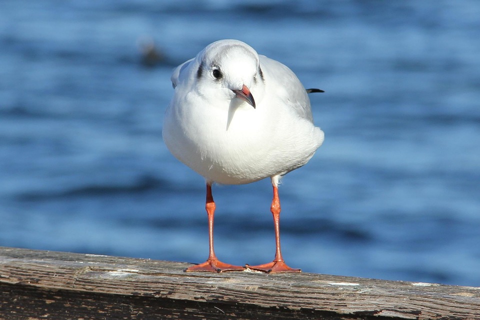 Neubrandenburg: Sparkasse modernisiert Zentrale – Das steckt dahinter!