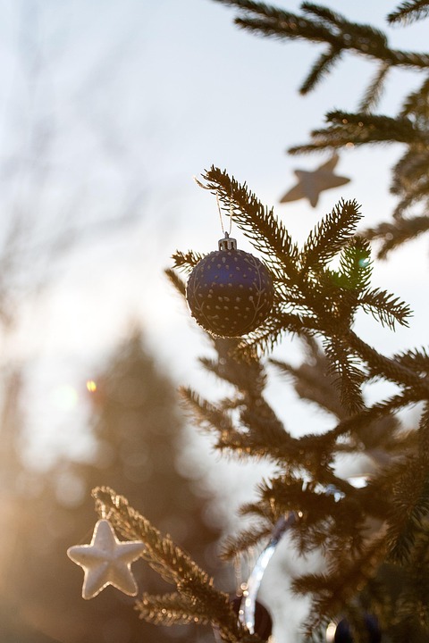 Neue Fachkräfte für den Tourismus: Feierliche Diplomübergabe in Thun!