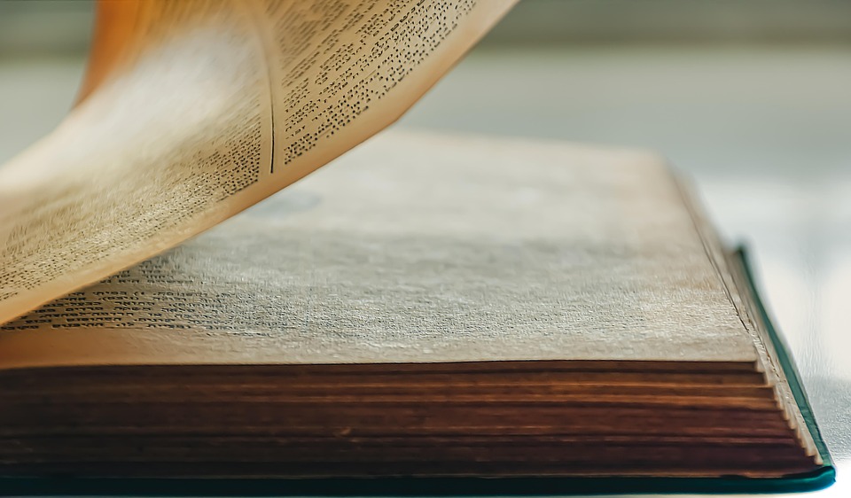 Neue Gesetze für Kurzzeitvermietungen: Chaos im Ferienwohnungsmarkt!