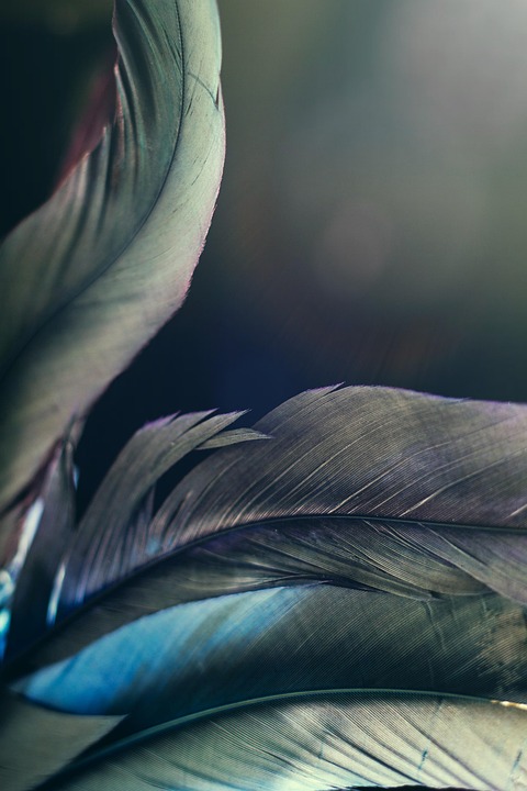 Neue Traumstraße zum Ba Be-See: Tourismusboom in Bac Kan gestartet!