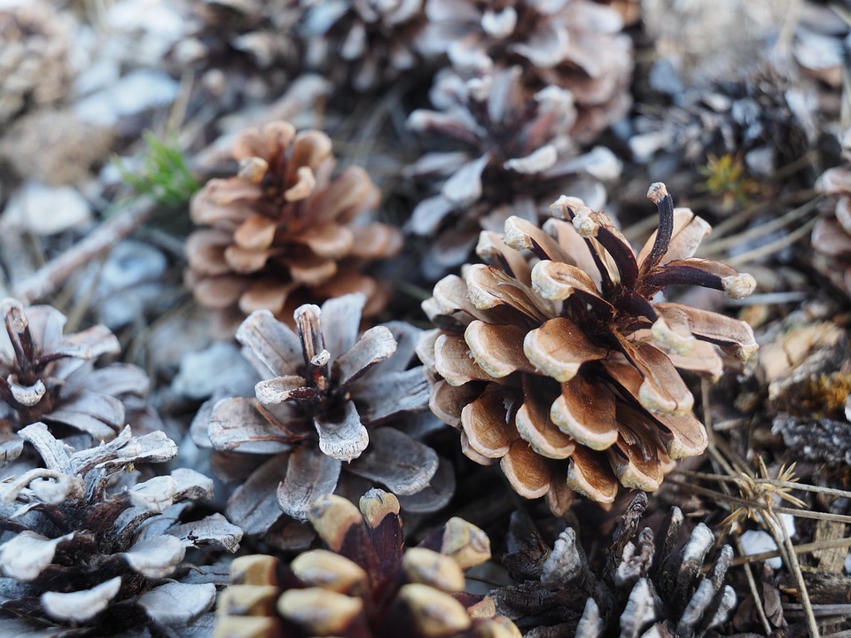 Neuer Geschäftsführer und frischer Wind bei Appenzellerland Tourismus AG!