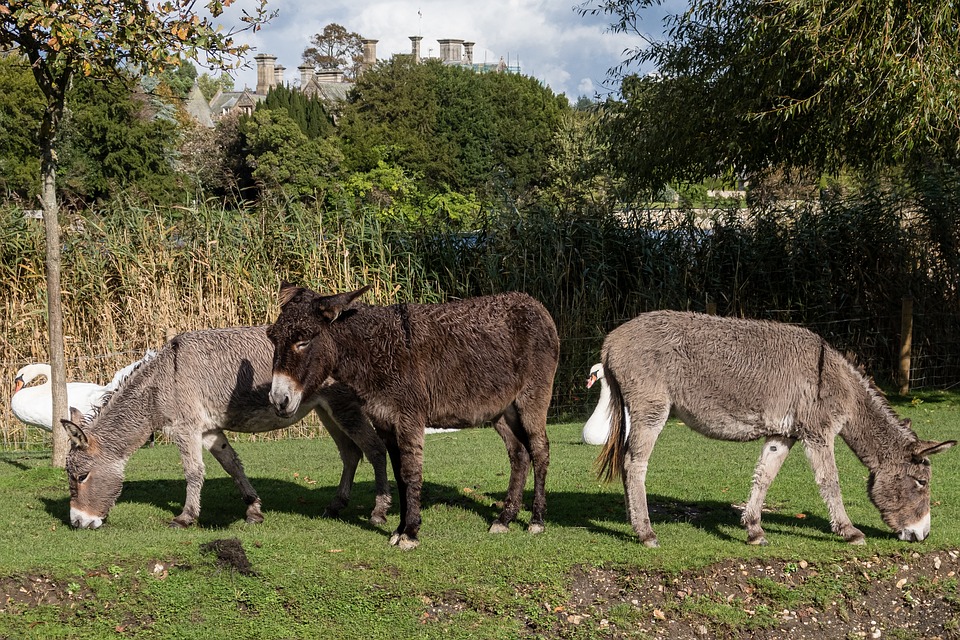 Neuer Kapitän Daniel Richter übernimmt das Kommando der AIDAstella!