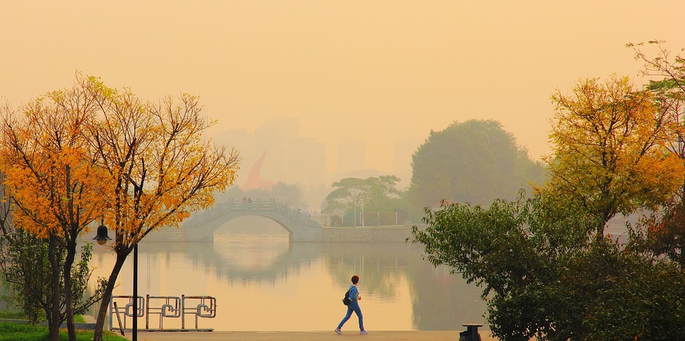 Neuer Quarterback entflammt Colts-Fans für die historische Saison!