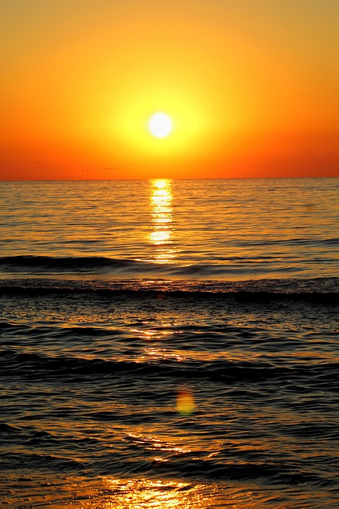 Neuer Sattel für Radsportler: Selle Italia SLR Boost im Test!