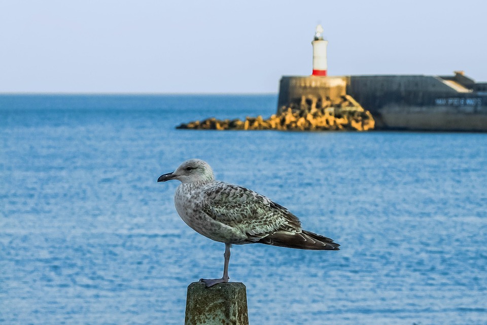 Neuer Schwung für Tourismus und Gewerbe am Bahnhof Rafzerfeld!