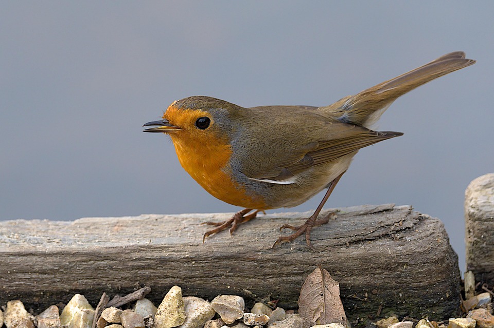 Neuer Verkehrsminister kündigt 500 Milliarden für Infrastruktur-Revolution an!