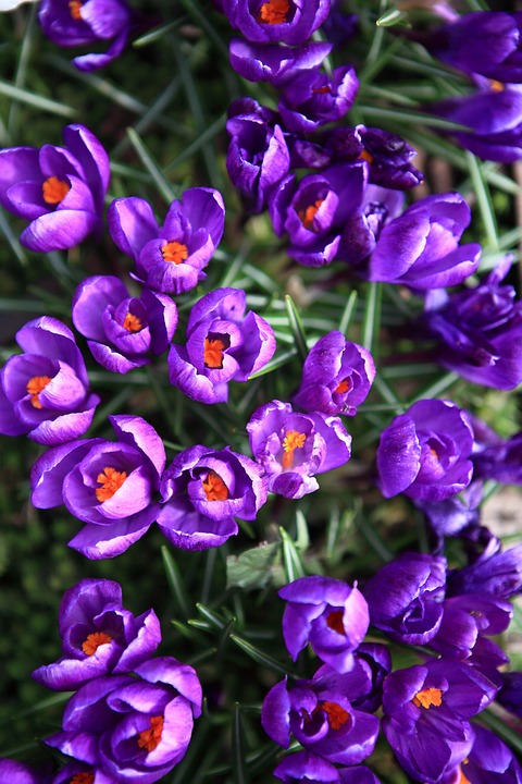 Neues Konzept: Verwaltungsverfahren werden digital revolutioniert!