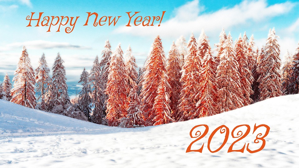 Neues Kreuzfahrt-Abenteuer: Queen Anne startet 2026 von Southampton nach Hamburg!