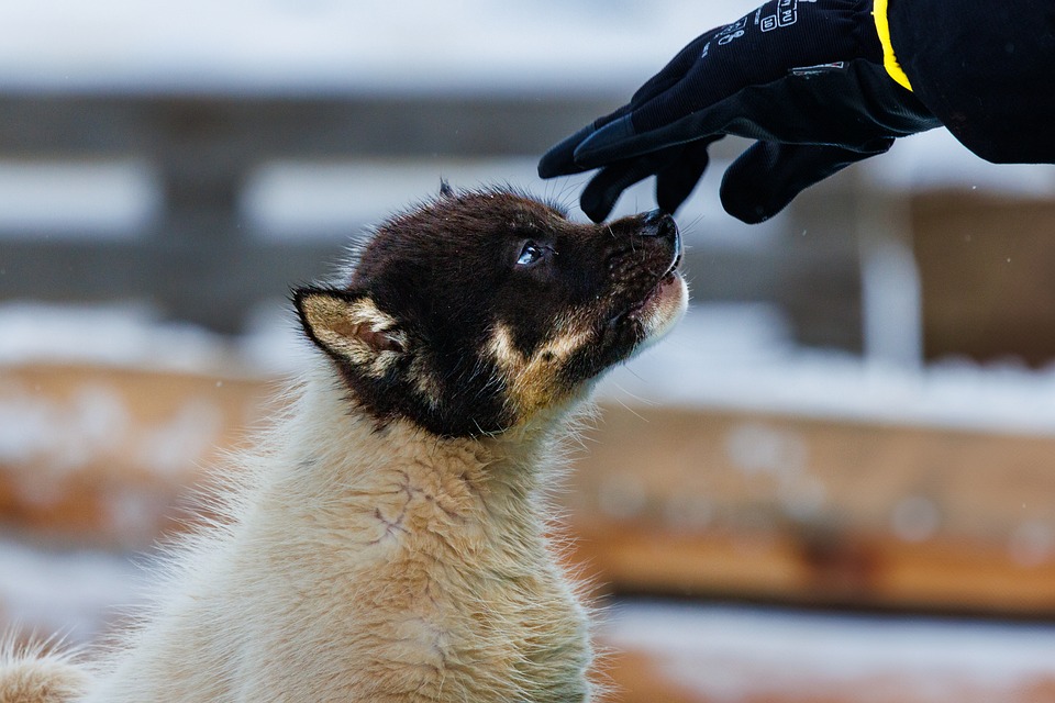 Ponant begeistert mit neuen Kreuzfahrtrouten für Winter 2026/27!