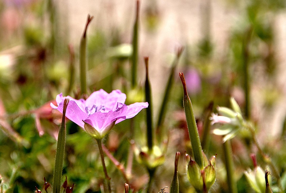 Portugal-Reise: So vermeiden Sie Gefahren und genießen Ihren Urlaub!