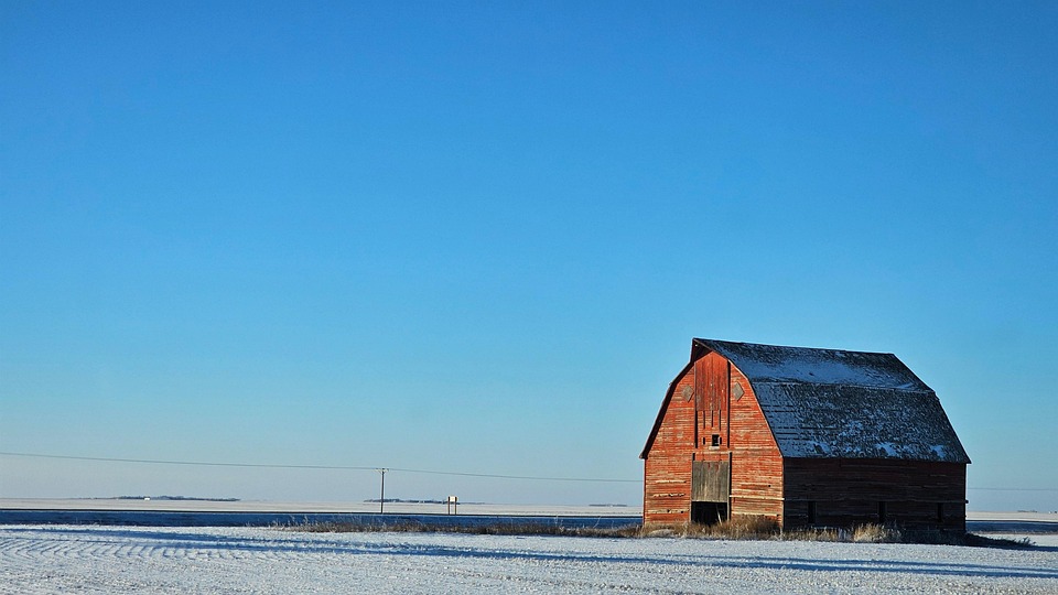 Regina erfüllt sich ihren Traum: Ein Tag im Ozeaneum Stralsund!