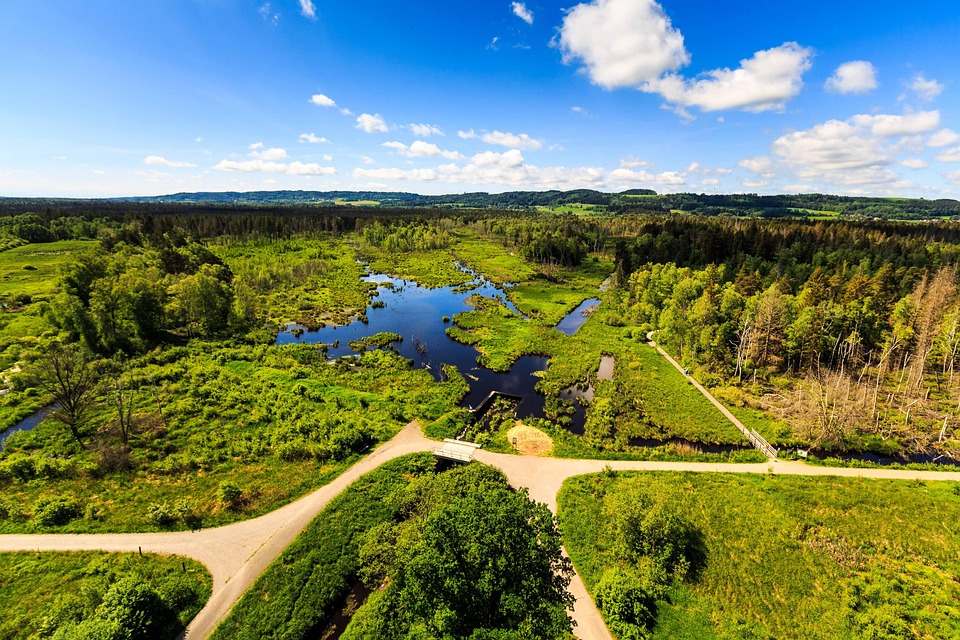 Ried feiert sensationellen Bundesliga-Aufstieg nach 4:1-Sieg!