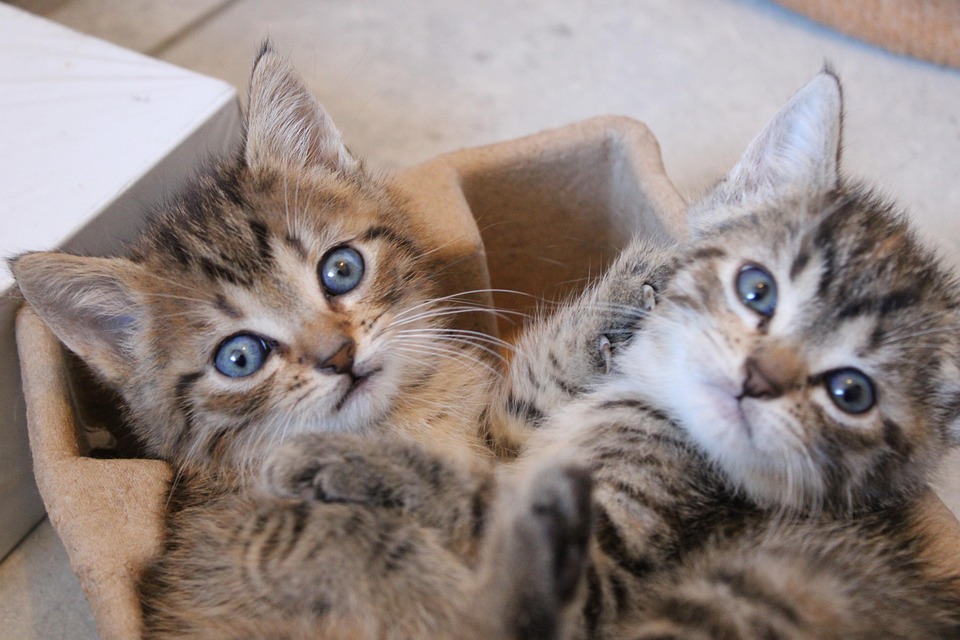 Schockierende Preise am Flughafen Istanbul: Urlauber empört über Burger King!
