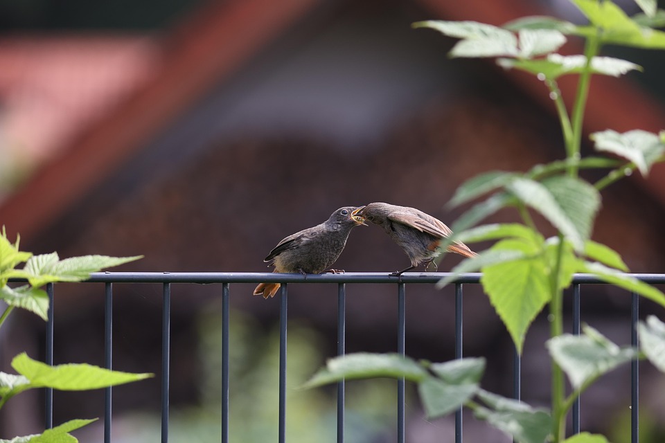 Schulpflicht-Verstoß: Mutter mit Sohn am Flughafen Memmingen ertappt!